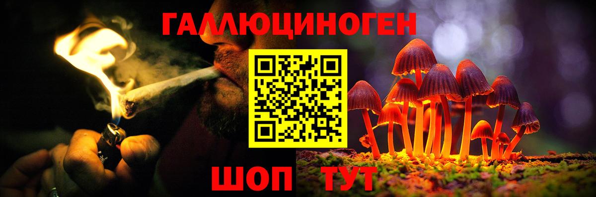 Мценск  Псилоцибиновые грибы Cubensis  закладки  Вход с VPN 